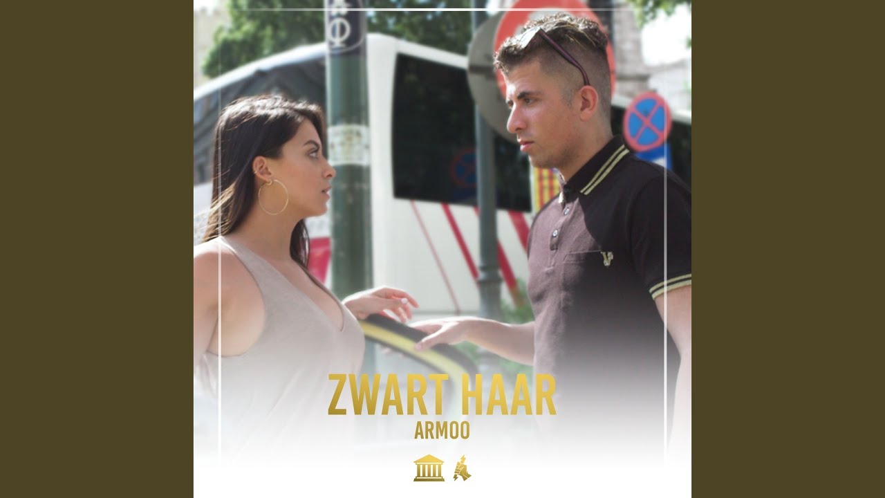Zwart Haar