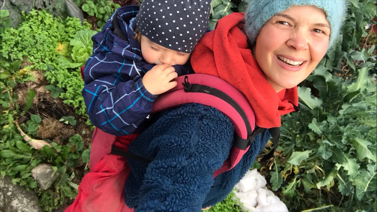 Live day 5: The amount of food I grow in my garden