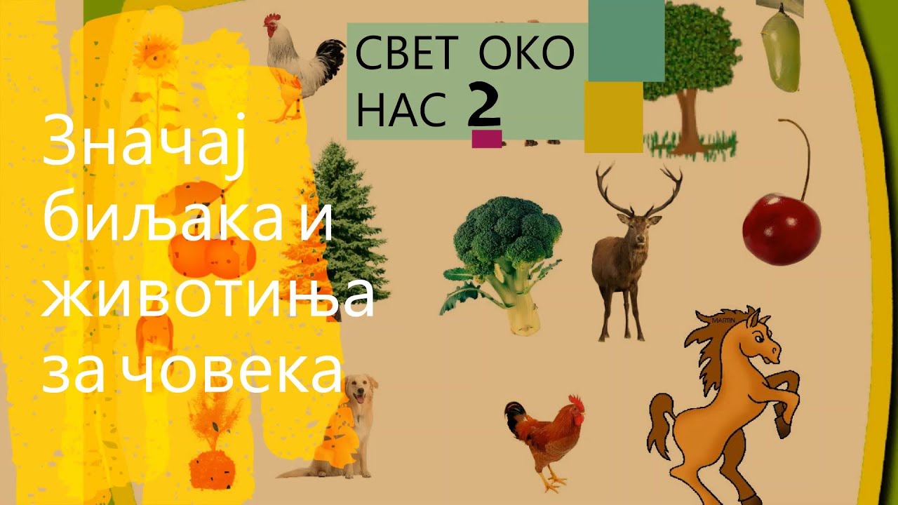 Značaj biljaka i životinja za čoveka