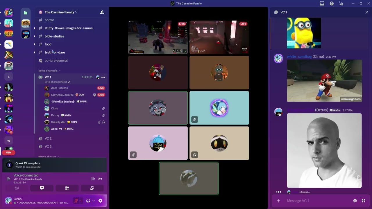 the average discord vc moment