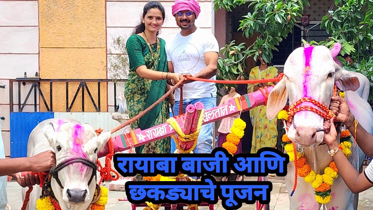 रायबा बाजी आणि छकड्याचे पूजन 😍 रायबा कसा चालतोय बघा | Bailgada Sharyat |