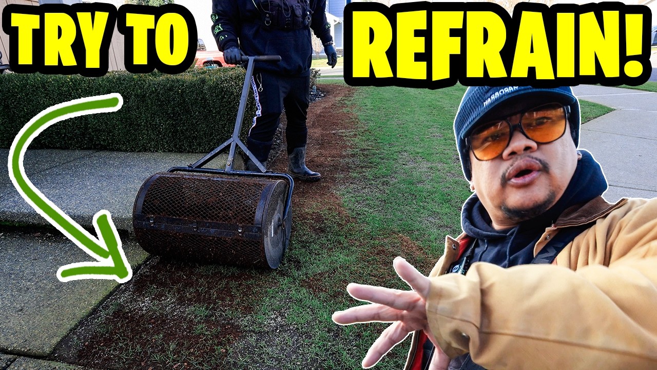 OVERSEEDING your lawn right now? STEP BY STEP will it grow?
