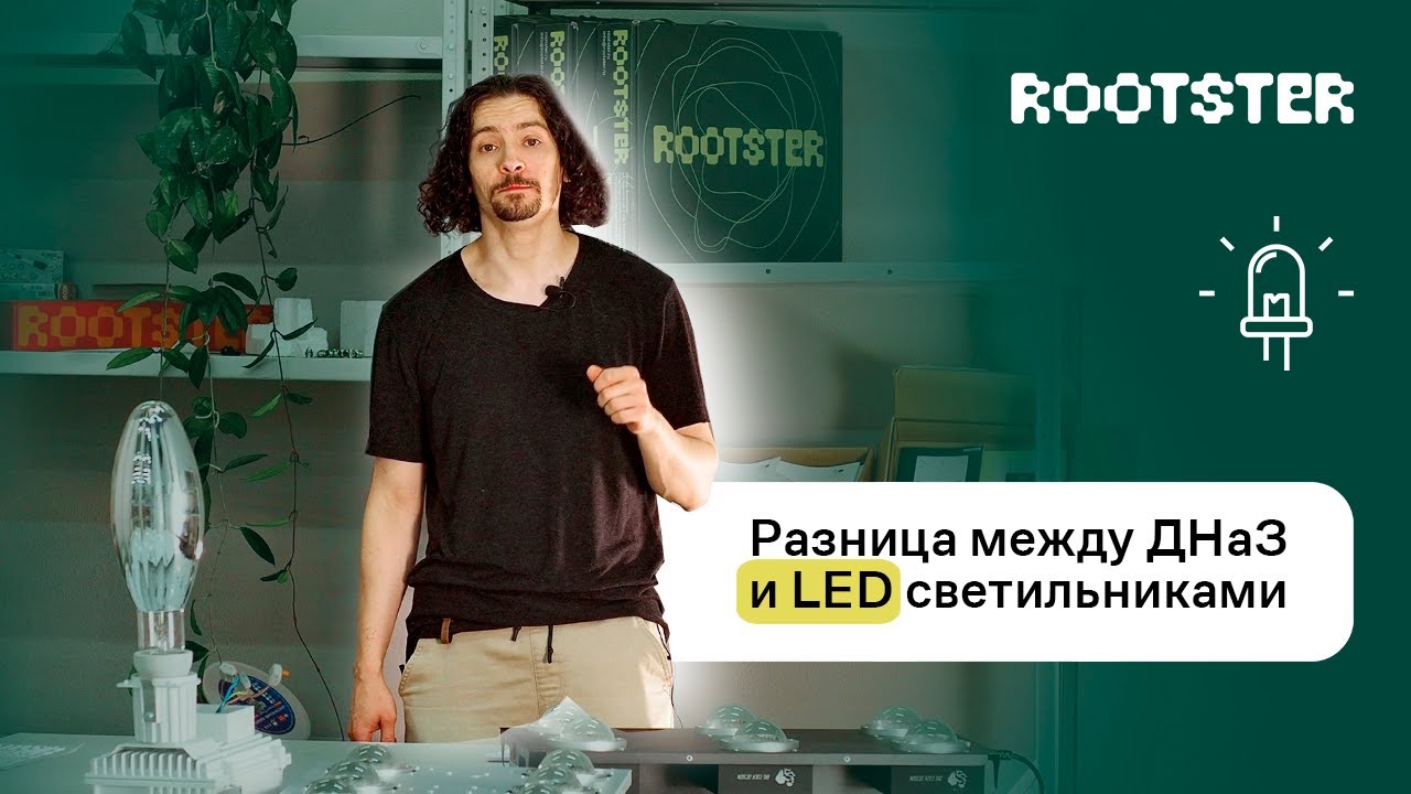Разница ДНаЗ и LED светильников