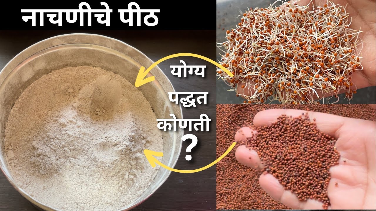 नाचणीचे पापड,लाडु,सत्व तयार करण्यासाठी लागणारे नाचणीचे पीठ । Ragi atta recipe | nachni pith recipe