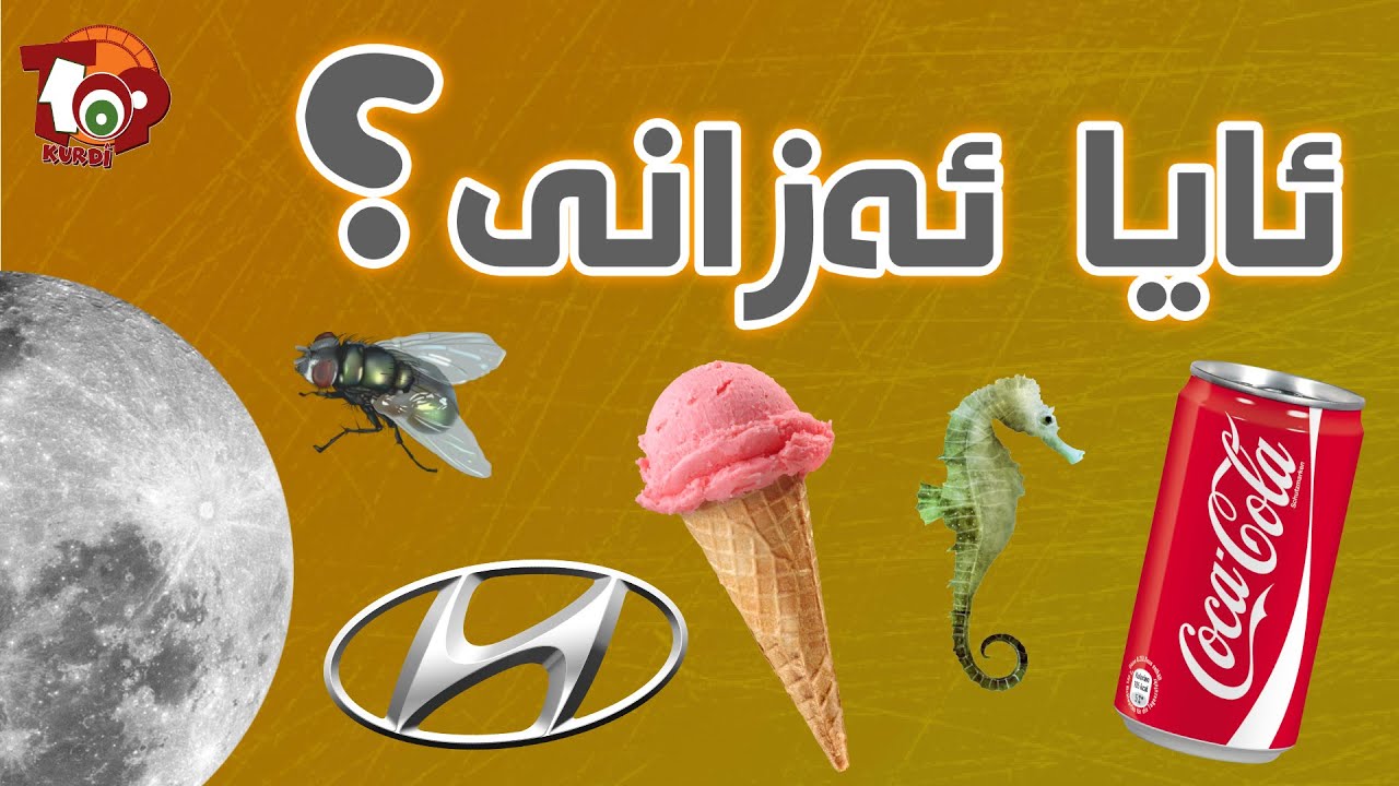 ئایا ئەزانی؟ ((ژمارەی ١)) زانیارییەکی زۆر تەنها لە چەند خولەکدا