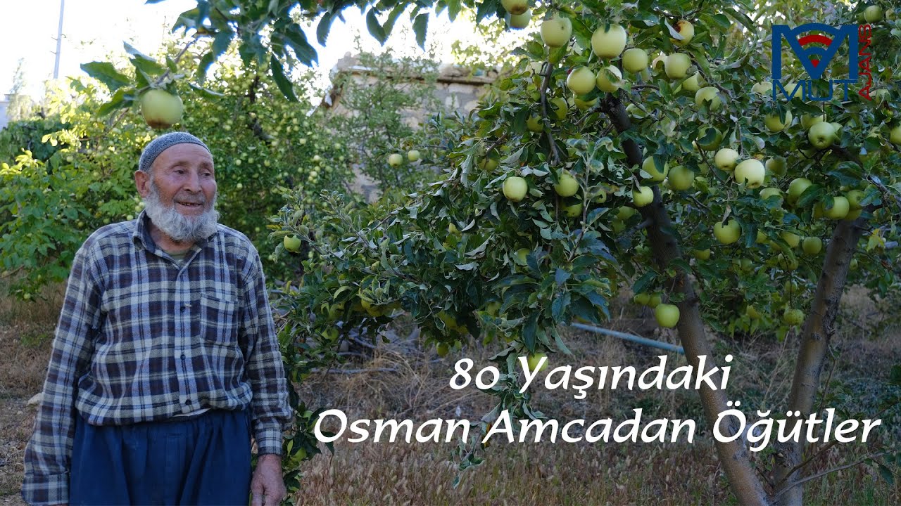80 Yaşındaki Osman Amcadan &Ouml;ğ&uuml;tler |Mut Ajans
