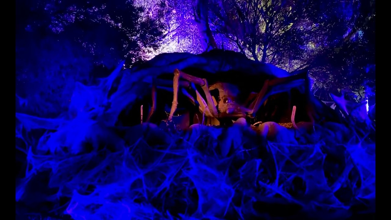 Harry Potter forbidden forest experience aragog emerges