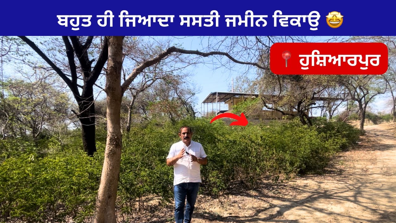 SOLD!!65 ਕਿੱਲੇ ਬਹੁਤ ਸਸਤੀ ਜਮੀਨ ਵਿਕਾਉ, land for sale, Hoshiarpur Punjab | video: 200 @4Lakh per killa