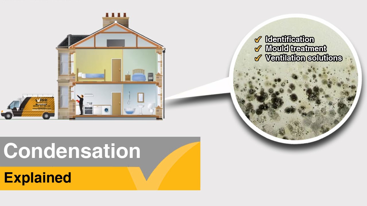 Condensation information and treatment