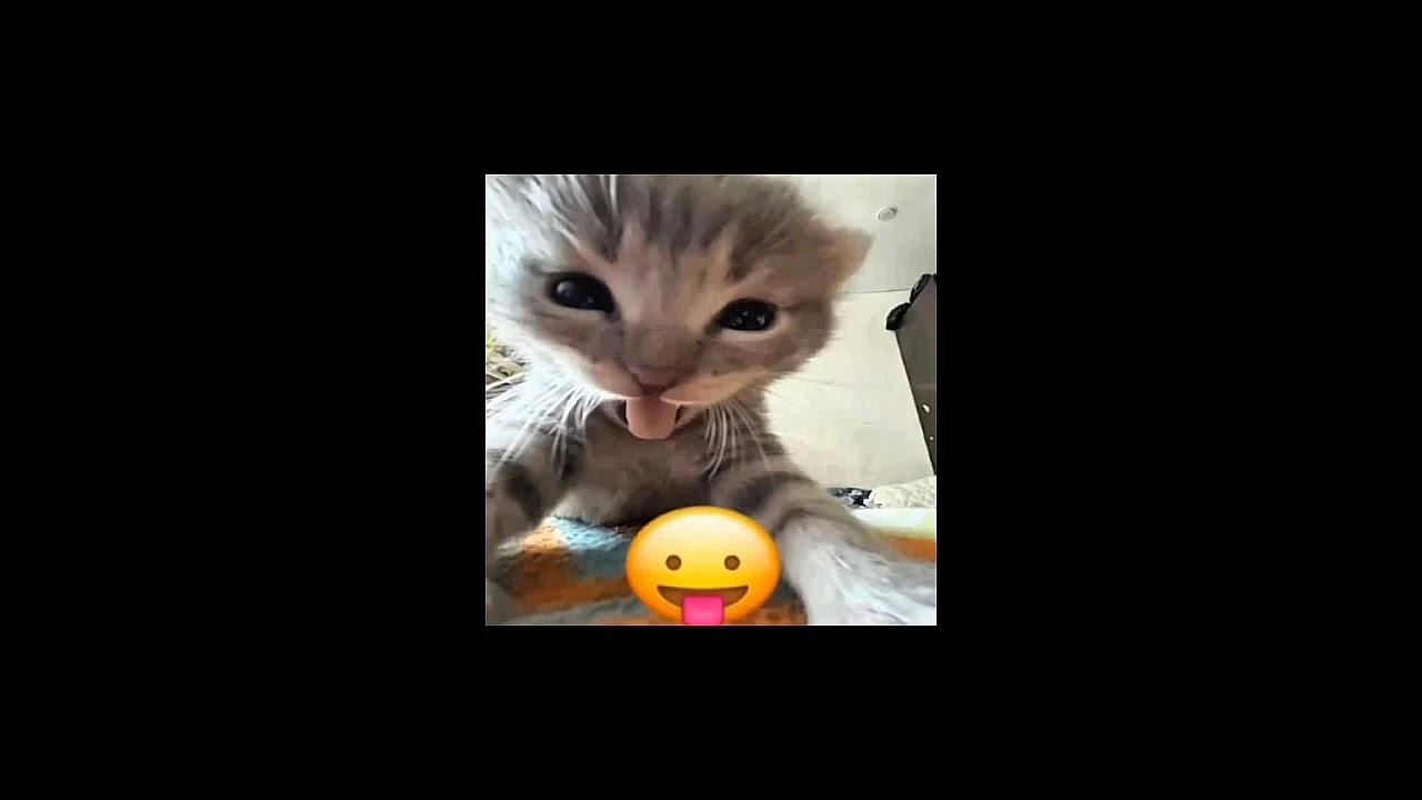19 MINUTES OF TIKTOK TIMETAMPS AUDIOs