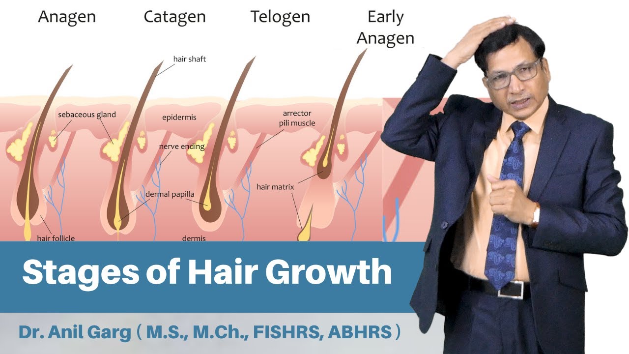 Stages of Hair Growth | How Do Hair Grow - Anagen, Catagen, Telogen Phase | Dr. Anil Garg