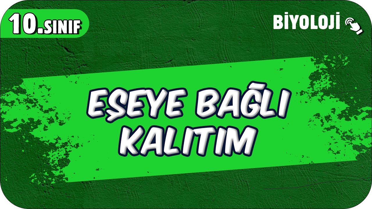 Eşeye Bağlı Kalıtım | 10.Sınıf Biyoloji #2025