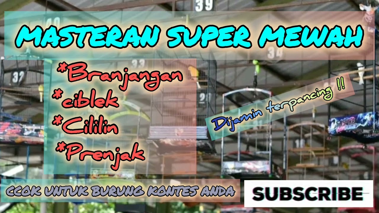 KICAU SUARA kenari gacor CUIT CUIT NEMBAK ampuh buat PANCINGAN KENARI PAUD BELAJAR BUNYI #kenari