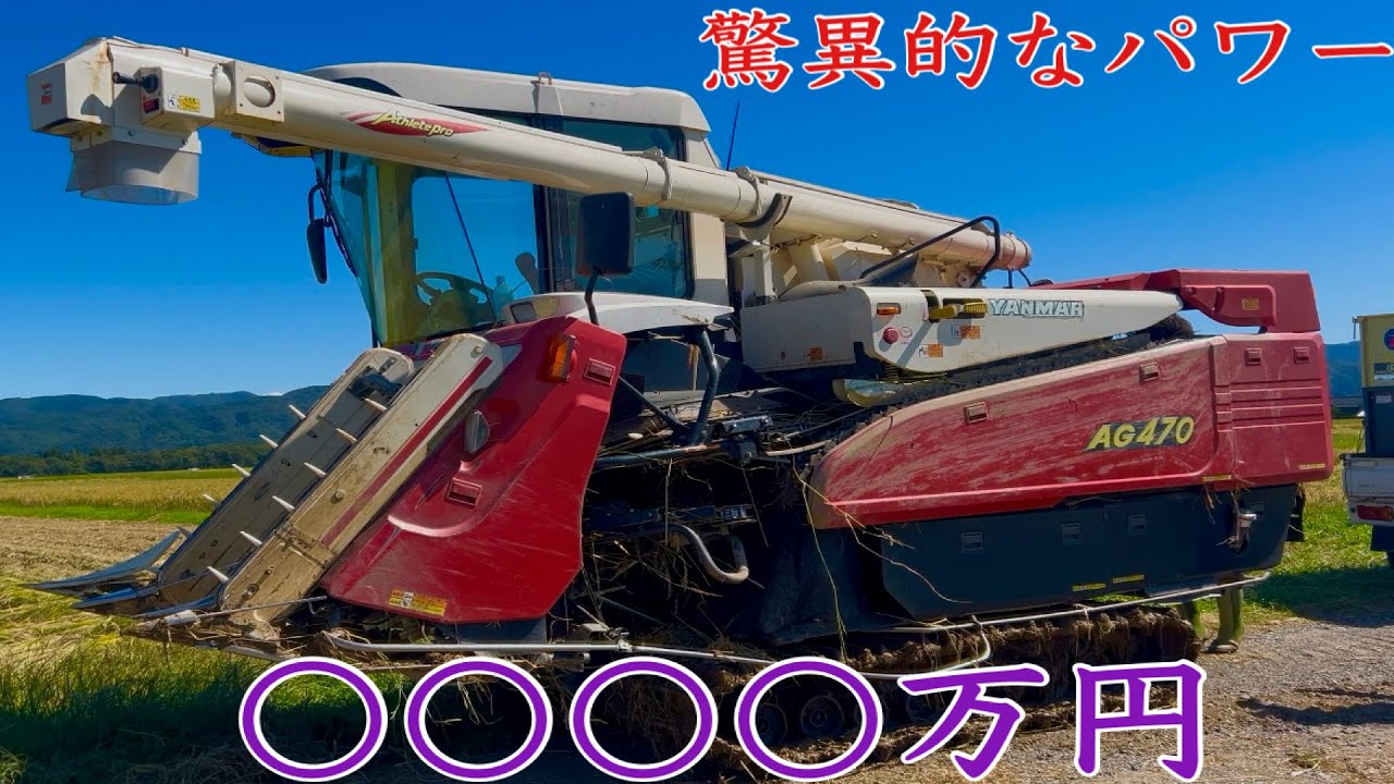 【稲刈り】ついにこの日がやってきた！