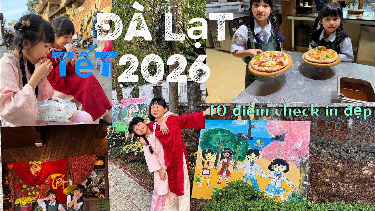 Tết  2026 Ở Đà Lạt: Trọn Bộ Hành Trình Check-in Cảnh Đẹp – Cà Phê – Hoa Đà Lạt