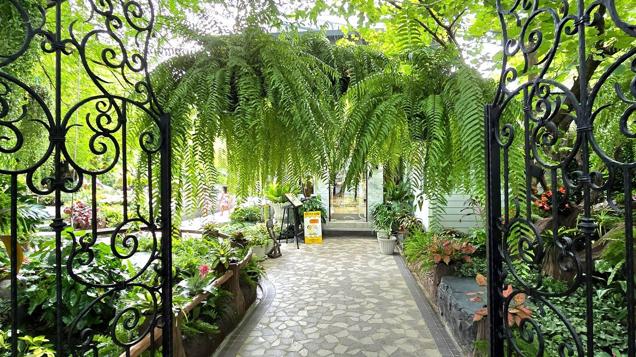 🫢 🤩 Surprising loveliest Cafe in Bangkok suburbs.. don't be misled by its name..