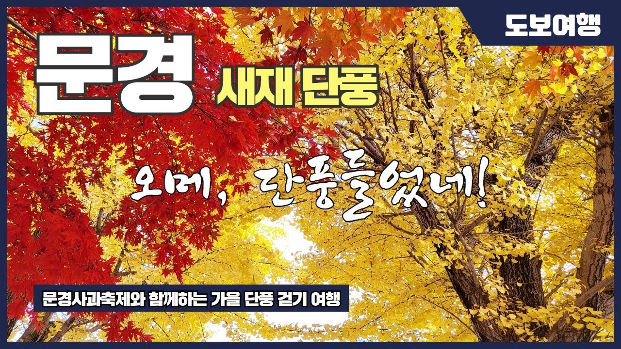 문경 사과축제가 한창인 문경새재 가을 단풍 여행
