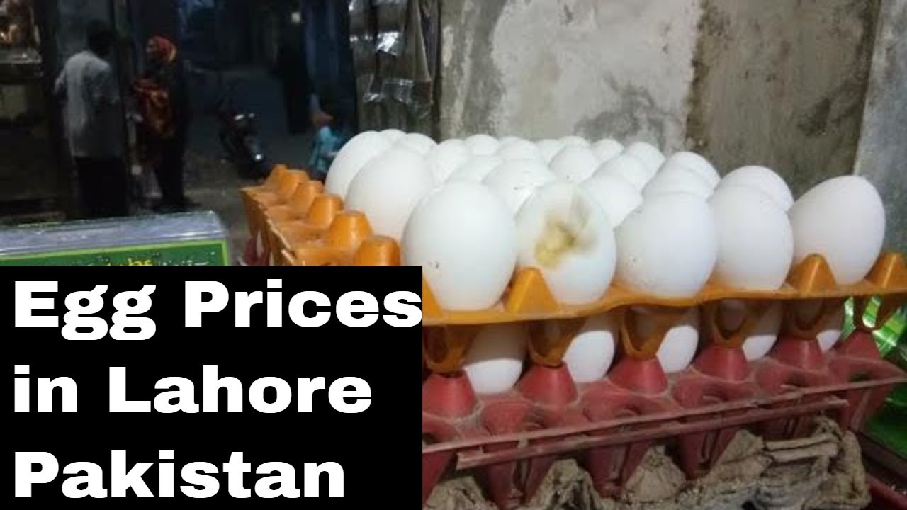 Egg Prices in Lahore Pakistan Today New Rate List