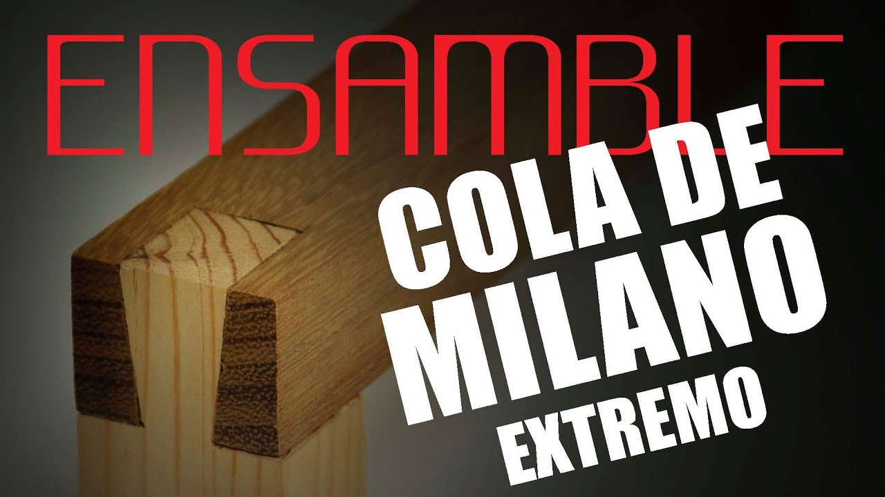 🦅 COMO hacer una COLA DE MILANO🟢 paso a paso