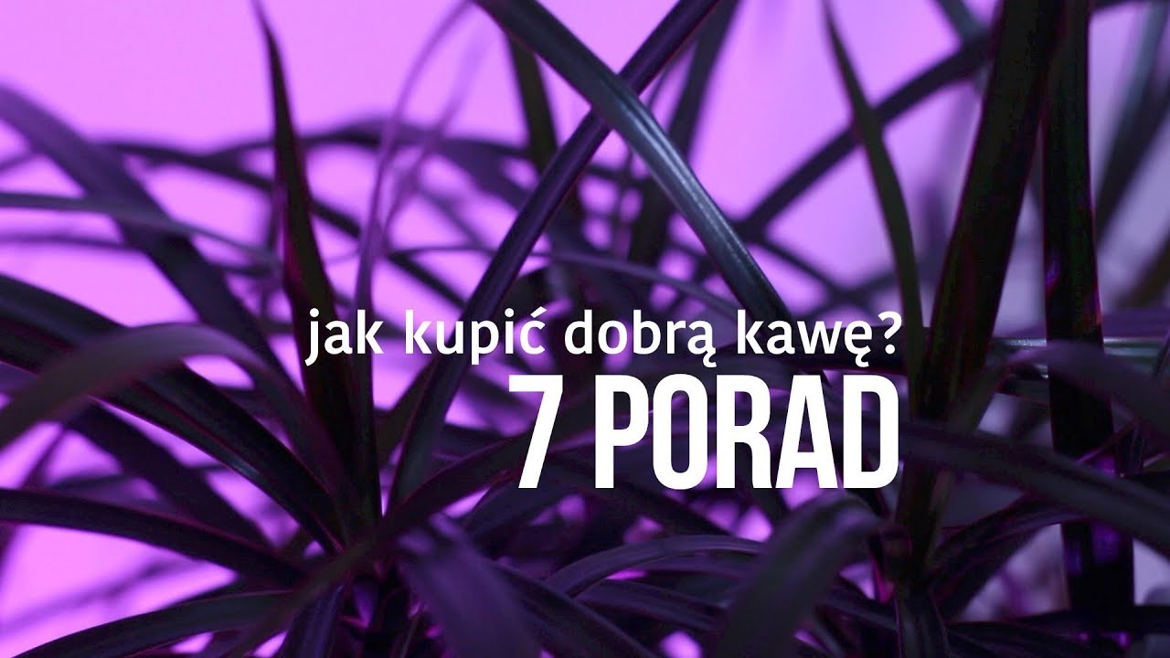 Jak kupić dobrą kawę? 7 porad, które ułatwią wybór