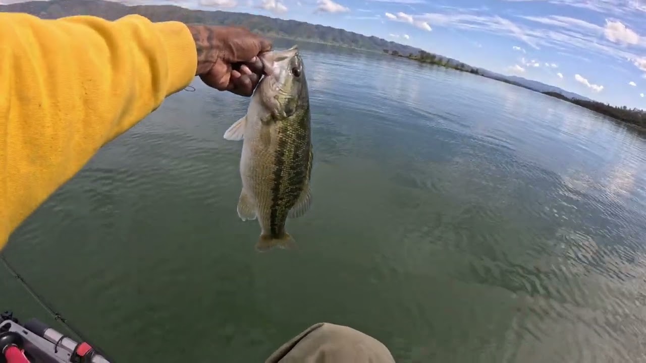 Lake berryessa (almost spring time) 