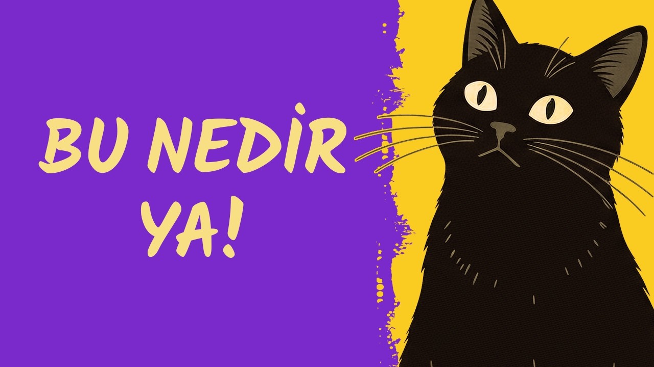 Steam'deki Afet-i Devran Hatunlar!