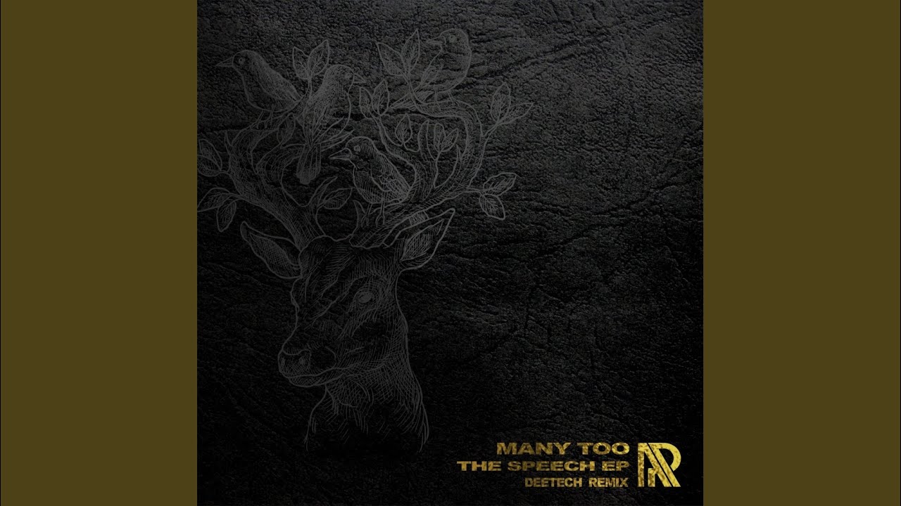 The Speech (Original Mix)