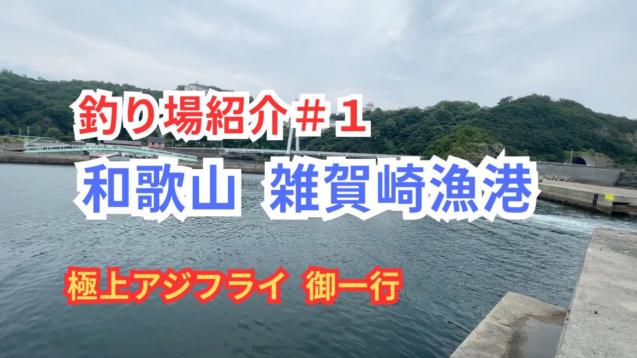 【釣り場紹介#1】和歌山 雑賀崎漁港