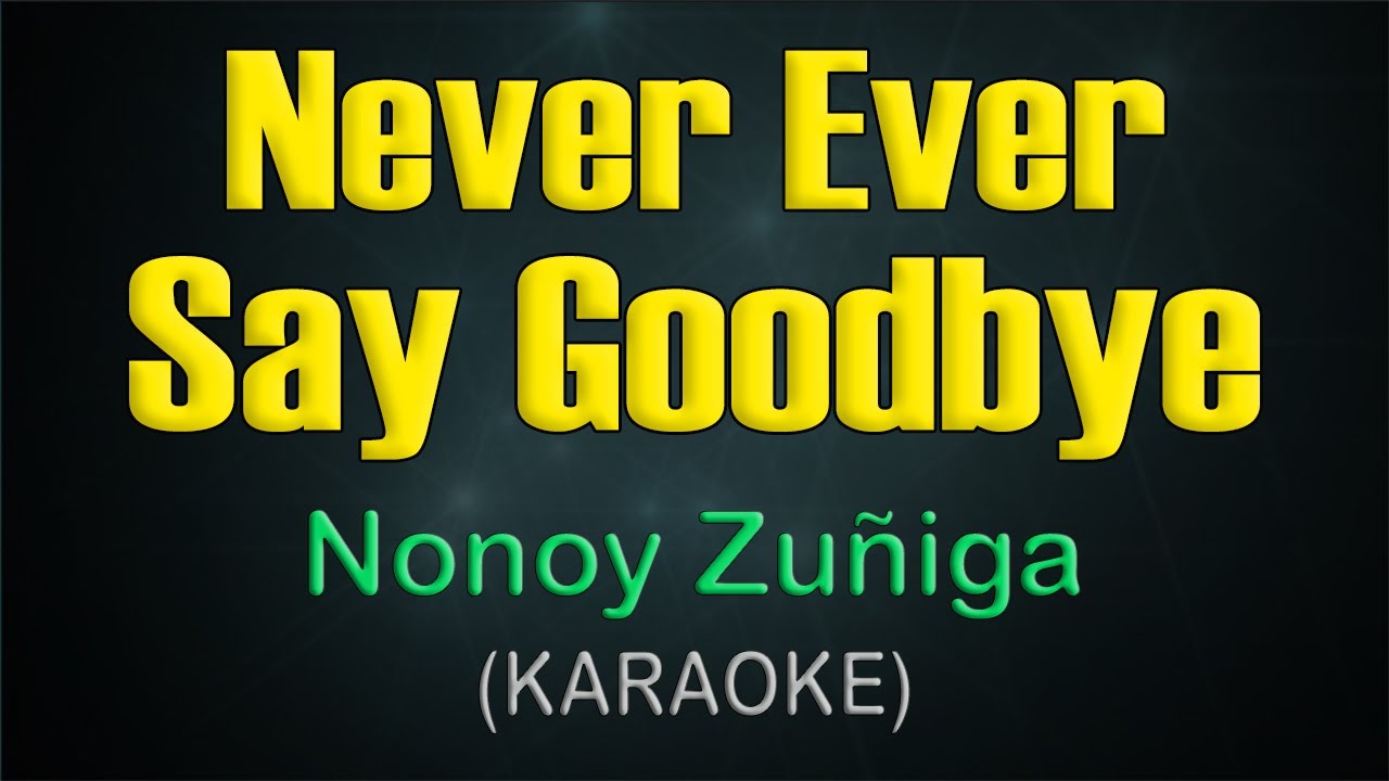 NEVER EVER SAY GODBYE / KARAOKE - Nonoy Zu&ntilde;iga