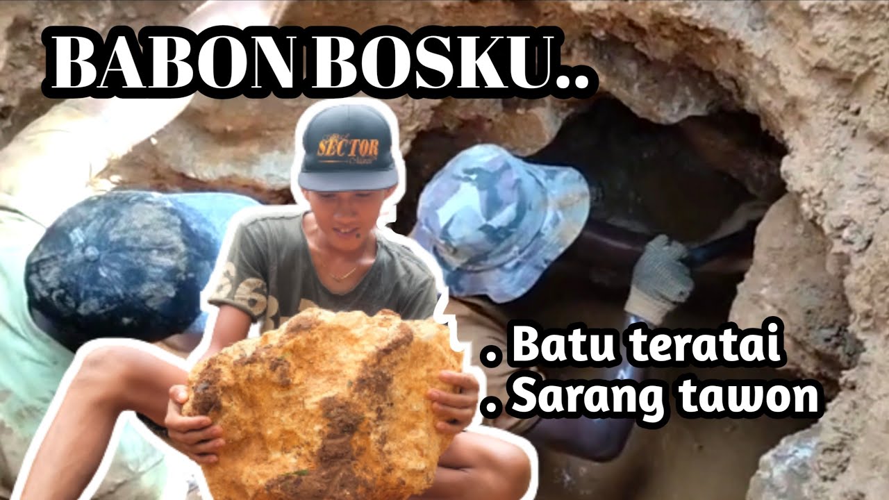 Big Lotus stone || Liat langsung proses penambang batu teratai