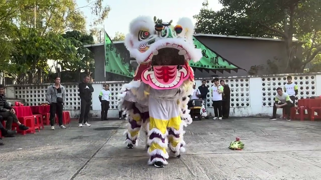 醒獅採青