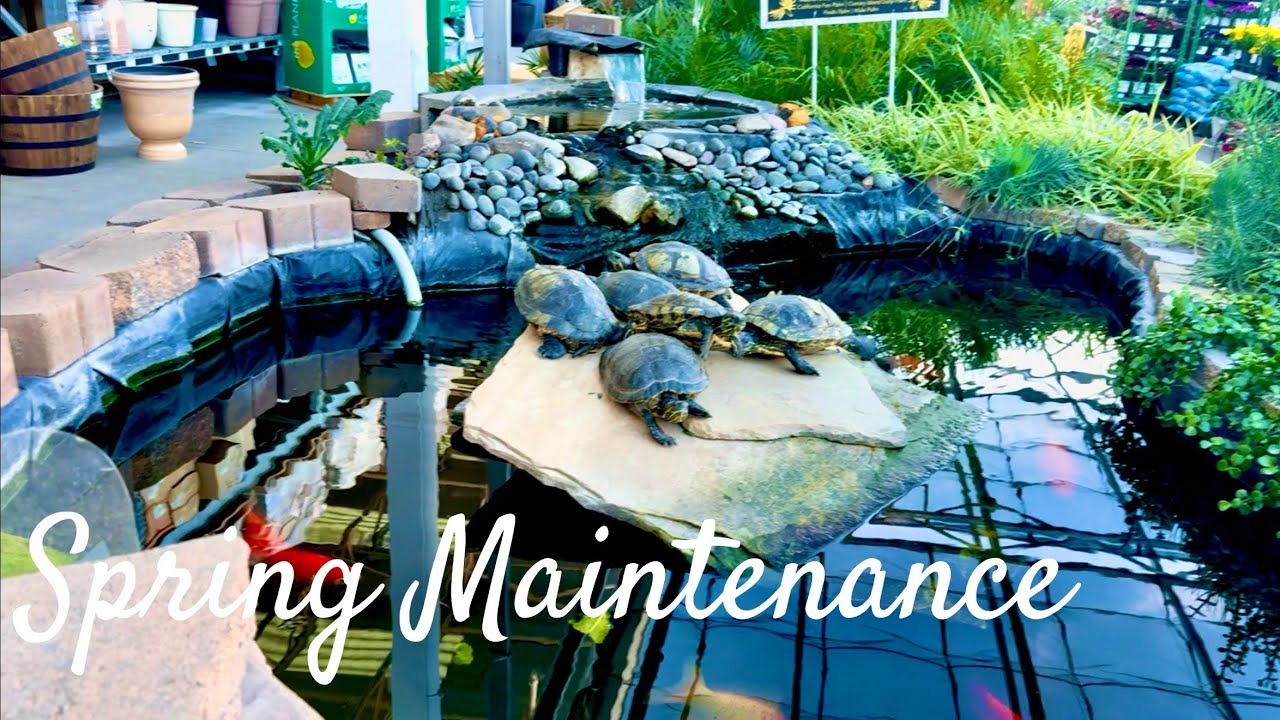 Khám Phá Cách Bảo Trì Vườn Mùa Xuân