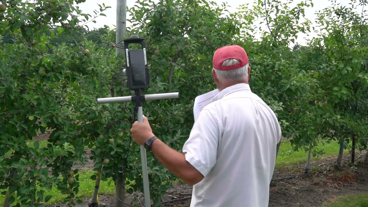 MFGA Annual Summer Meeting - Stop 2, precision apple crop load management