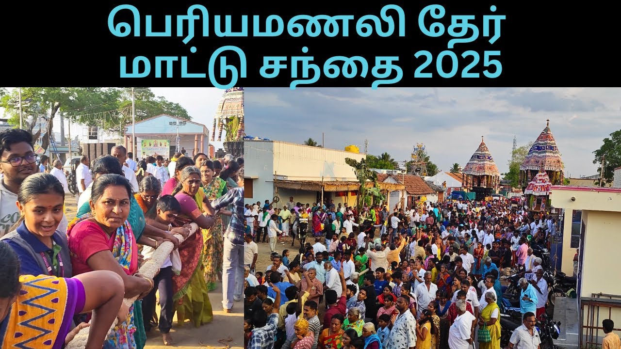 பெரியமணலி தேர் திருவிழா நாட்டு மாட்டு சந்தை 2025 |Periyamanali Kariakaliamman Temple Desi Cow Market