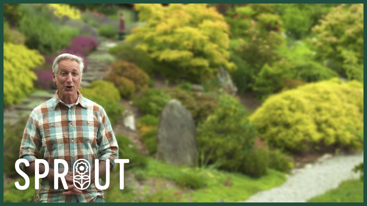 7 Simple Steps for a Stunning and Sustainable Garden