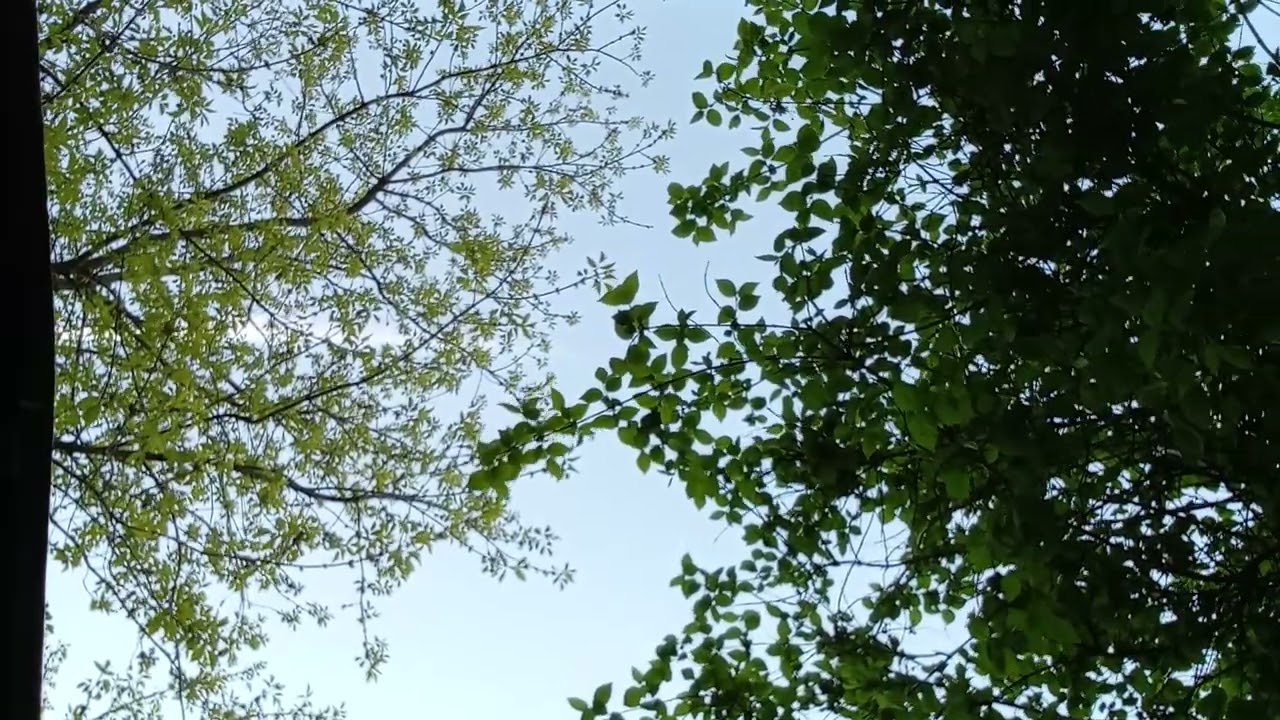 Drinking @ Schnelli Park (sounds like tallinn)