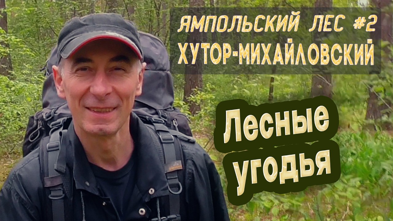 ⛺ Ямпольский лес #2. Город Хутор-Михайловский. Лесные угодья