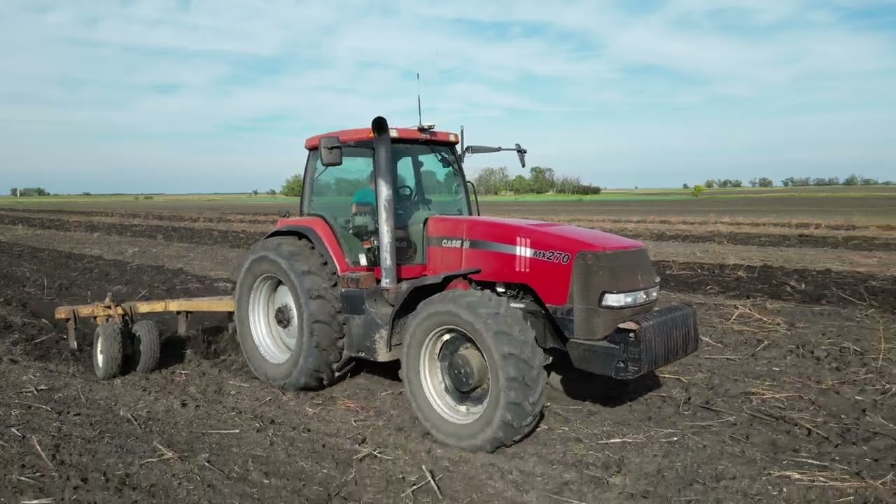 Lazítózás |Case IH Magnum MX 270 + 9 késes IH lazító |