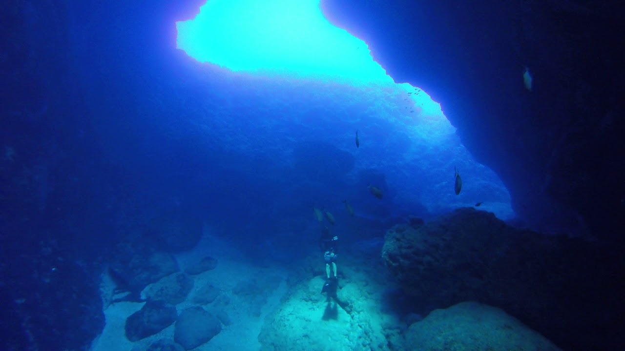 ROTA HALL Free Dive　Mr. SAKUMA　Fishman.