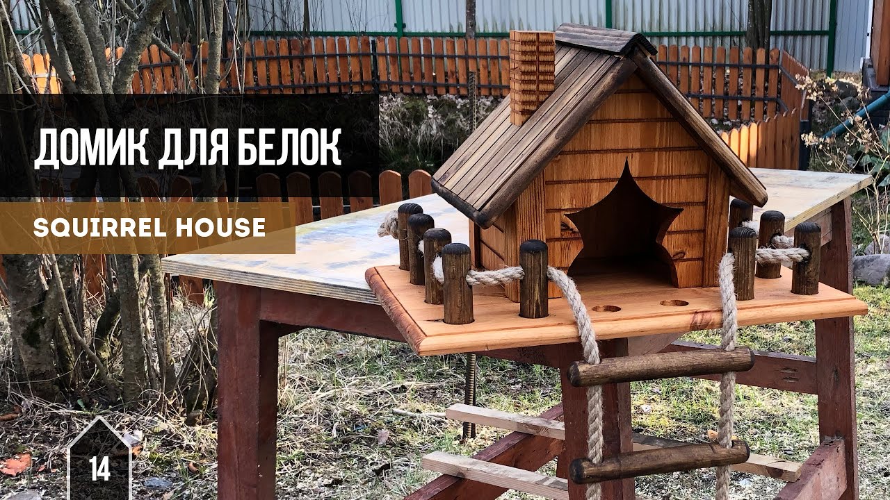 Домик для белок / Squirrel house