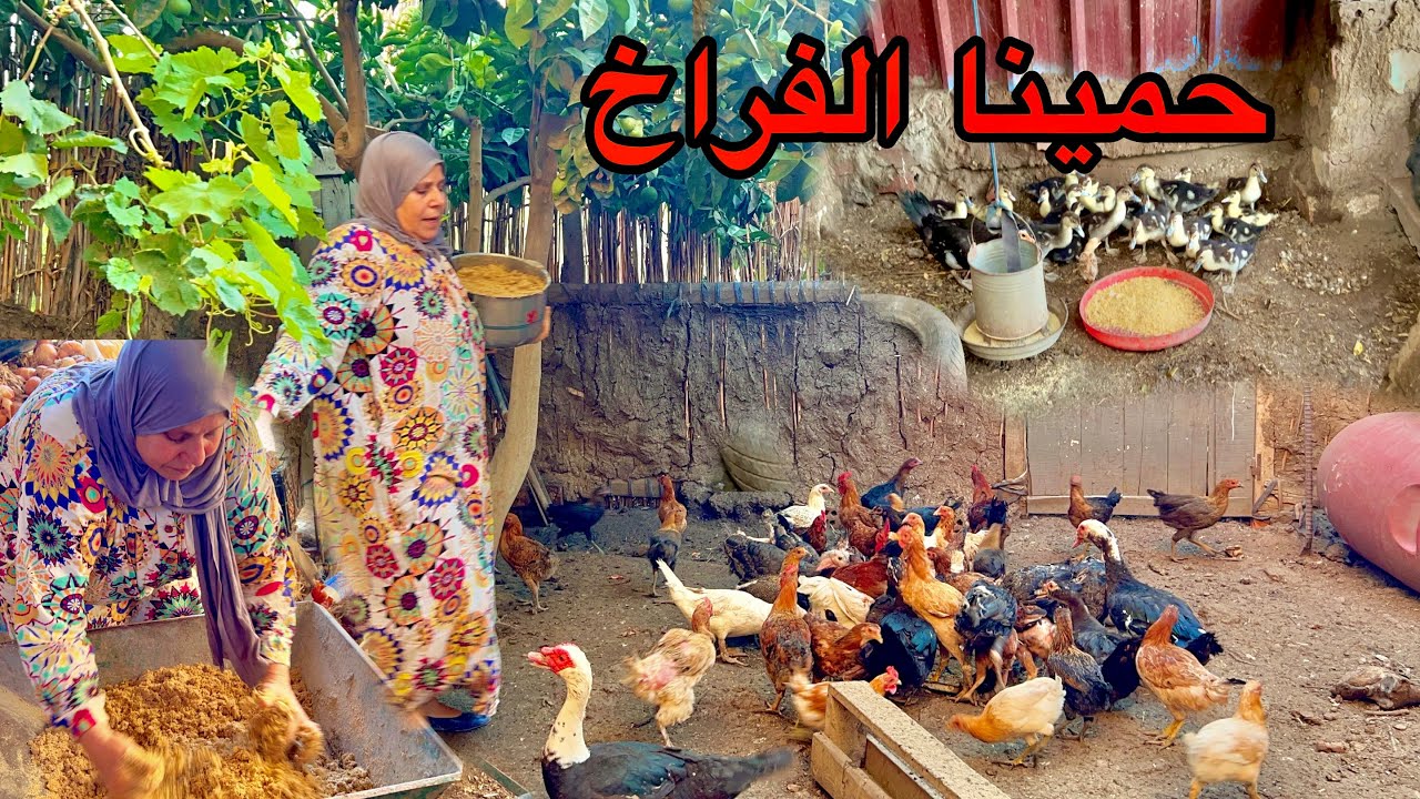 بعد إلا حصل ومكنش متوقع الدنيا باظت خالص واتبهدلت ملقينا حل غير كده