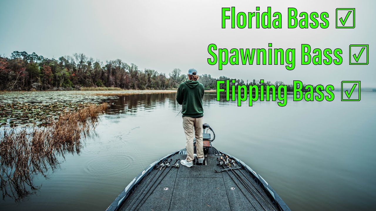 Florida Spawning Juice | Inside Scoop of February Florida Bass