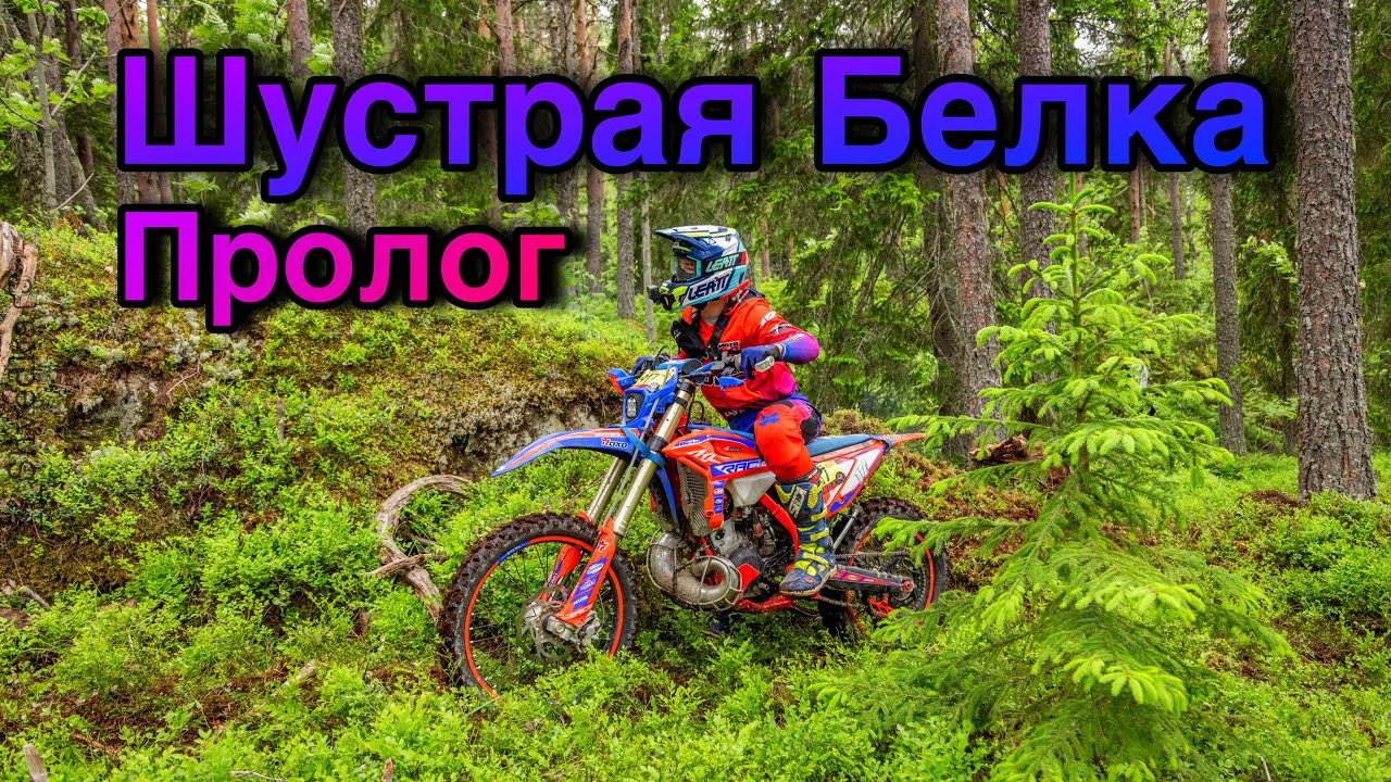 Шустрая Белка 1-й этап. Пролог 6-ое место. Beta 200