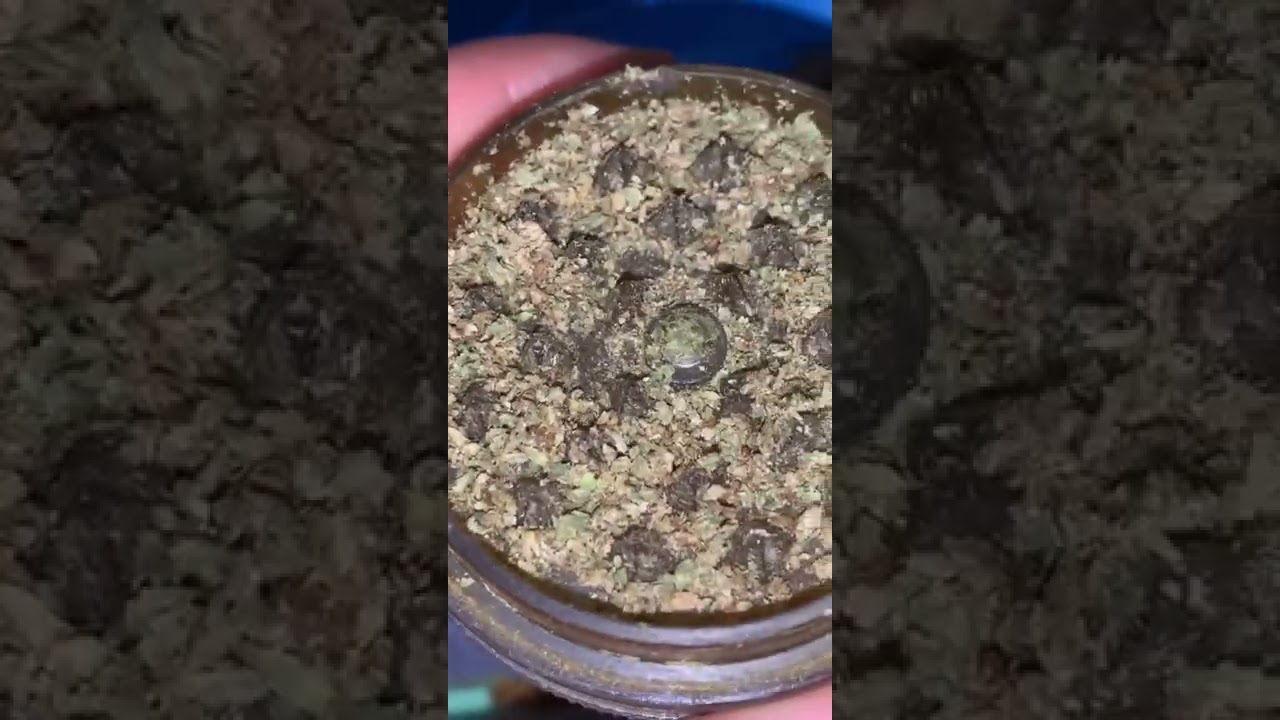 Dispenseroo?!✅ LEGIT | STRAIN REVIEW 💨 | GRAPEFRUIT DIESEL