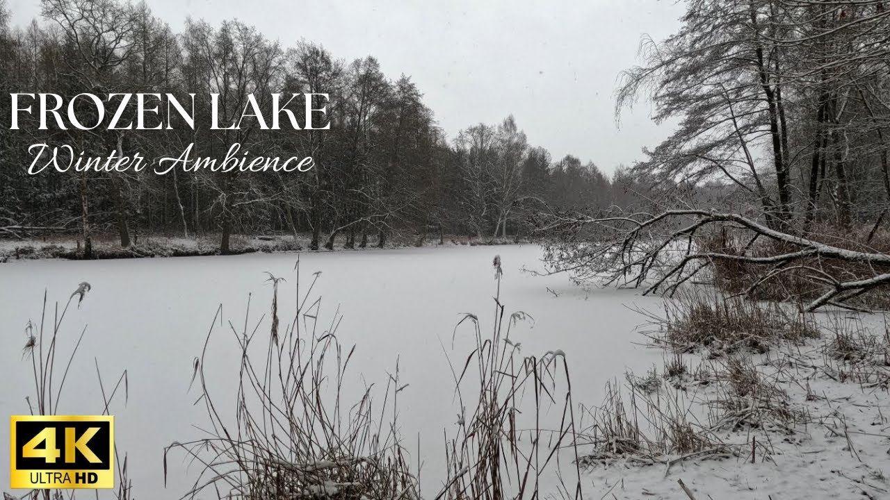 Frozen Lake at Winter - Peaceful Snowfall & Ice Soundscape