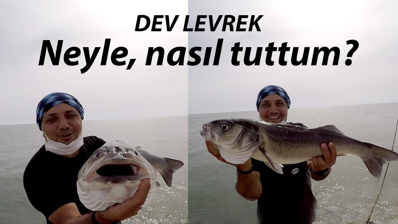 Dev levrek neyle nasıl tutuldu? Tam kapanmalık balığa kaçırtan video...