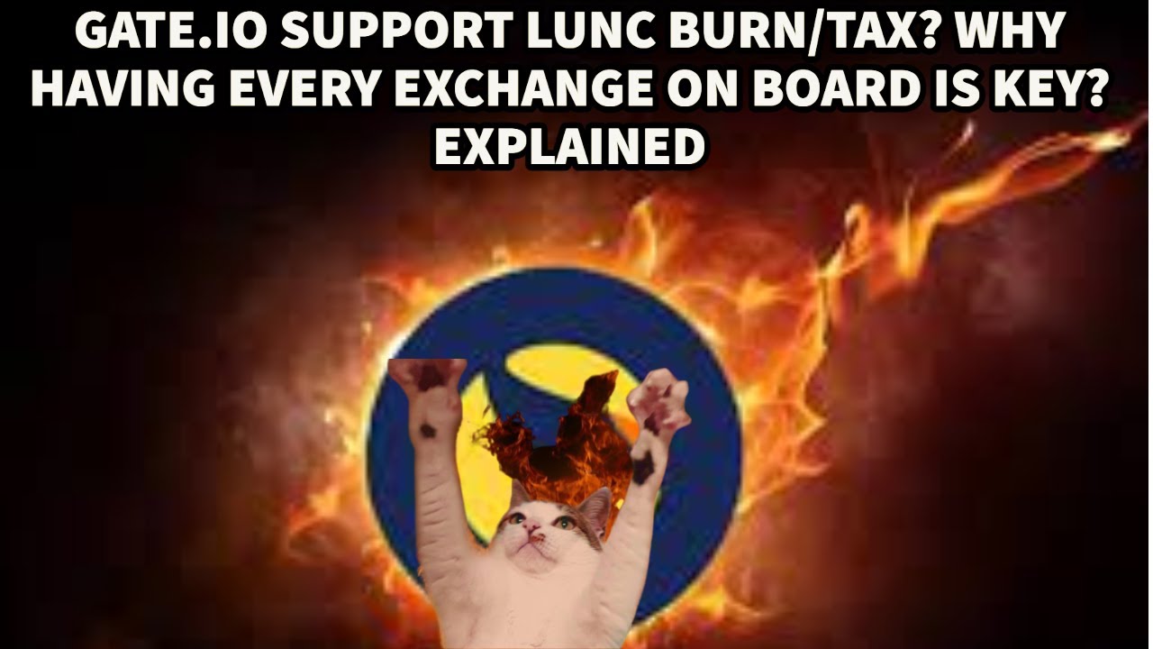 GATE.IO SUPPORT #LUNC BURN/TAX? WHY HAVING EVERY EXCHANGE ON BOARD IS KEY? EXPLAINED