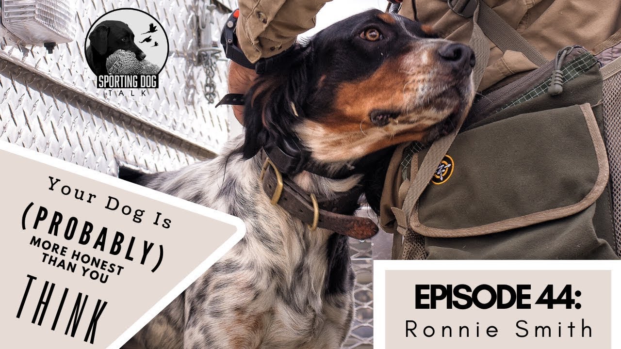 Podcast Short Episode 44: Ronnie Smith- You Dog Is (Probably) More Honest Than You Think