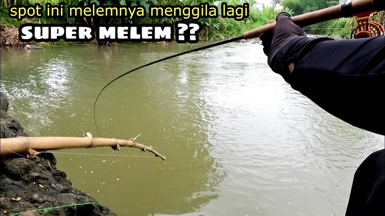 mancing tehnik nutul babon nilem super hu