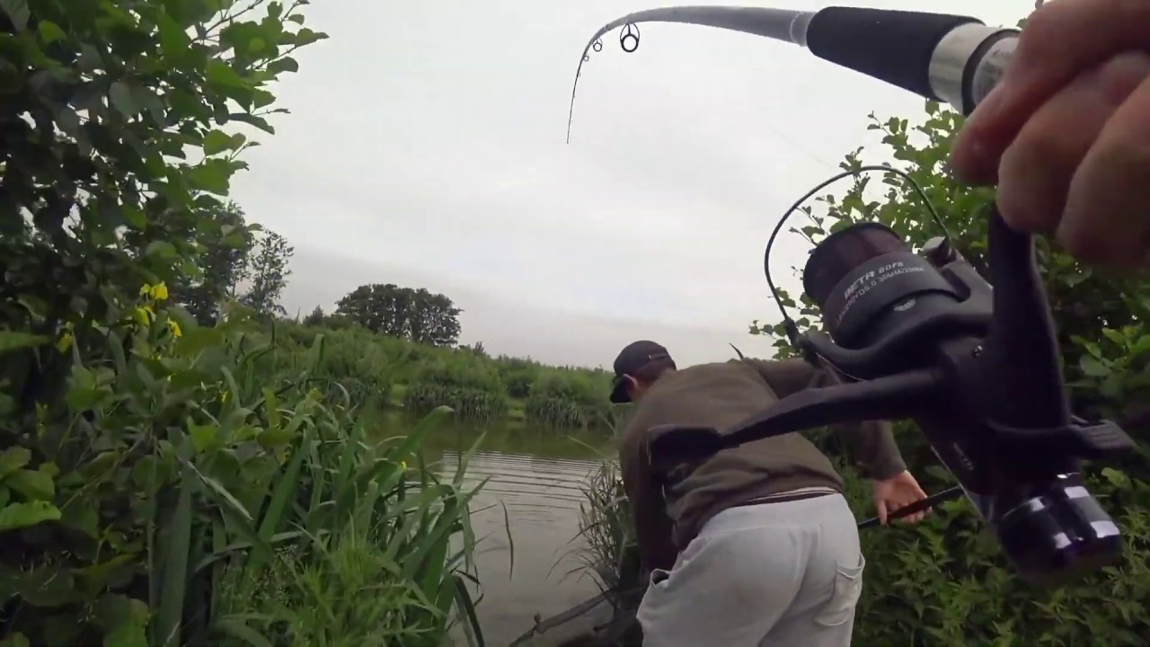 FISH XXL spray - k&ouml;derzusatz, erfahrung, test